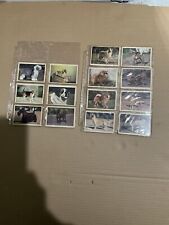 SUPER OLD VINTAGE COLLETIBLE DOG CARDS LATE 40’S VERY HARD TO FIND LOT OF 14 picture
