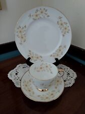Royal Victoria Fine English Phone China Staffordshire Cup Saucer & Dessert Plate picture