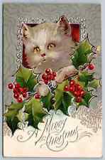 White Fluffy Cat kitten with Holly~Antique~ Embossed~Christmas Postcard~h675 picture