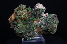 Conichalcite / 8.1cm Mineral Specimen / Gold Hill Mine, Utah picture