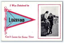 Lidgerwood North Dakota ND Postcard I Was Detained Couple Lovers Pennant c1914 picture