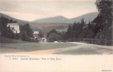 Catskill Mountains: View in Elka Park, N.Y., 1905 Hand Colored Postcard, Unused picture