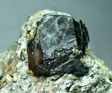 552 Gram Rare Dravite Tourmaline Crystal with Saphire On Greem Mica Matrix picture