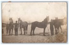 c1910's Large Horses Steed Farm Brace Bridge Ontario Canada RPPC Photo Postcard picture
