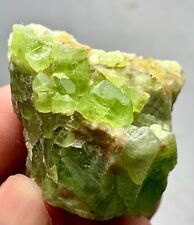 381 Cts Beautiful Terminated Peridot Crystals BunchSpecimen from Skardu Pakistan picture