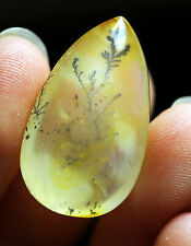 22.5ct Rare NATURAL Clear Mica tree Crystal Polished picture