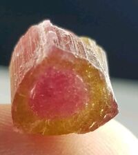 10.5ct Natural Terminated Watermelon Color TOURMALINE Crystal From Afghanistan  picture