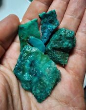 31.5 Grams Turquoise Eilat Rough Stones, Mojave CA picture
