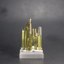 Green Tourmaline (Afghanistan)  -  #262 picture