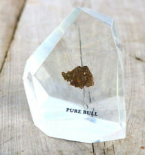 Pure Bull Lucite Geometric Paperweight Clear Bright Gift Novelty Unusual YQ picture