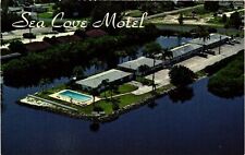Vintage Postcard- Sea Cove Motel, Punta Gorda, FL UnPost 1960s picture