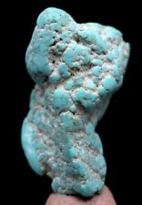 TURQUOISE Specimen Natural Authentic Gemstone Nugget PAIUTE MINE NEVADA picture