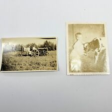 Vintage Photo Farm Boy cow calf Tractor hayride Lot of 2 B/W photos picture
