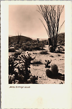 Anza Borrego Desert California Vintage RPPC C211 picture