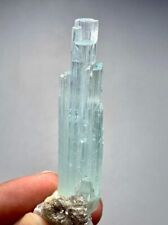 109 Cts Terminated Aquamarine Crystals Bunch from Skardu Pakistan picture