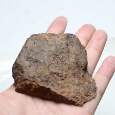 106g NWA natural Unclassified meteorite section slice C2691 picture