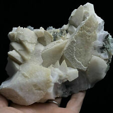 1.2 LB Natural Pink Dog Tooth Calcite Crystal Cluster Mineral Specimen picture