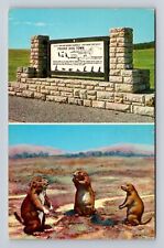 Wind Cave National Park, Prairie Dog Town, Series #R137 Vintage Postcard picture