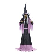2023 Costo/SVI 10' Towering Animated Witch w/ Digital Eyes Halloween picture