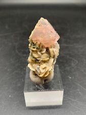 22.2 Gram Very Unique Terminated Pink Fluorite Crystal On Muscovite Matrix. picture