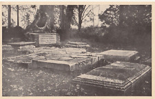 Vintage Postcard Ancient Graveyard in Jamestown, Virginia B&W Photo Unposted picture