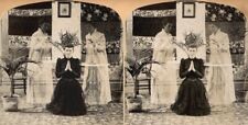 18 Stereoviews 1900 Ghost Geister Spiritual  picture