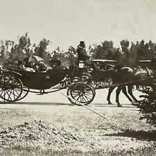 Original Antique Photo Fancy people Carriages Horses Aristocrats Tree plant O6 picture