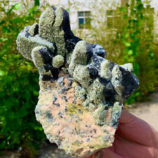 2.53LB Rare natural black intergrowth quartz crystal cluster mineral sample picture