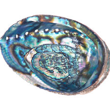 Abalone Shell Smudging Bowl Seashell Incense Burner, 5-6 Inches picture