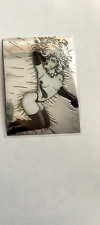 1997 Lady Death Lot Of Collectors Cards fan art card 5/8 chromium card IV #86 picture