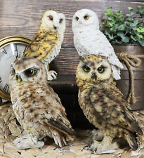 Realistic Colorful Nocturnal Snowy Barn Great Horned Owl Birds Figurine Set of 4 picture