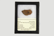 Genuine NWA 869 787 Meteorite in Display Box picture