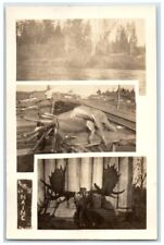 c1918 Hunting In Maine Multiview Deer Moose Elk Lake View RPPC Photo Postcard picture