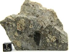 NWA 14456 H6 CHONDRITE METEORITE 185.4 g, Very fresh meteorite from outer space  picture