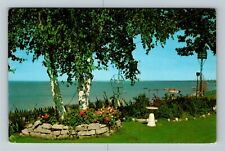 Eastport MI-Michigan, Torch Lake, Scenic Nature View, Vintage Postcard picture