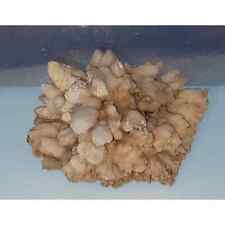 Dogtooth Calcite Cluster Pink Calcite  picture