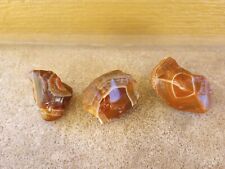 Top Shelf Lake Superior Agates Lot Of 3 picture