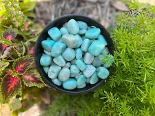 Amazonite Tumbled Gemstones 
