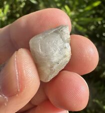 Brazilian Phenakite/Phenacite Crystal, Reiki, 3.23 Grams, 16.15 Carats picture