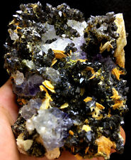 288g Rare skeletal Elestial BLACK QUARTZ Crystal Specimen&Purple Fluorite A982 picture