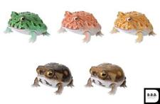 Repti Horned Frog and American Frog All 5 variety set Gashapon toys picture
