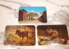 Postcard Lot of 3 Vintage Telluride Colorado Business District, Deer & Chipmunk picture