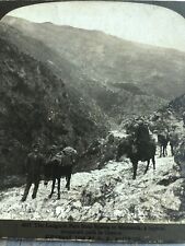 Antique Stereoview Card Photo 1903 GREECE LANGADA PASS Mountain Path picture