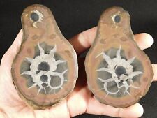 Lighting Like Pattern BIG Split and Polished SEPTARIAN Nodule w/ Stands 484gr picture
