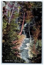 1910 Clarks Glen River Lake Trees Water Elmira New York Vintage Antique Postcard picture