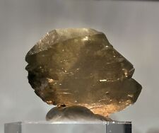 SUPERB SMOKY QUARTZ GWINDEL with Chlorite  from GRISONS, SWITZERLAND picture