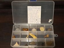 Fossil Collection In Box. 14 Fossils, Labelled. Shark Teeth Trillobite Marine picture
