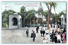 1908 Big Island Park Showing Tower Exterior Road Minneapolis Minnesota Postcard picture