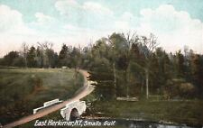 Vintage Postcard Small Gulf East Herkimer Forest Trails Pathway River New York picture
