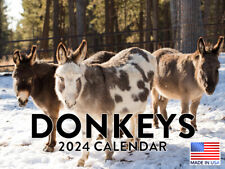Donkey 2024 Wall Calendar picture